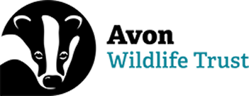 Avon Wildlife Trust - Western Forest Woodland Creation Partner
