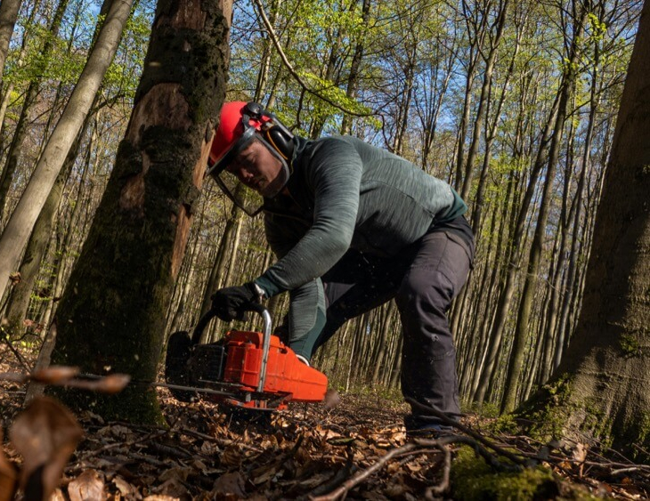 Woodland Management