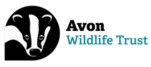 awt-logo
