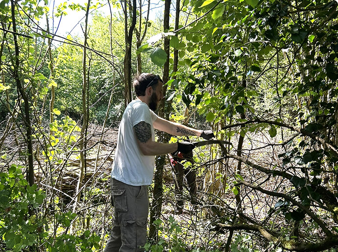 woodland-management