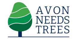 Avon Needs Trees Western Forest Delivery Partner
