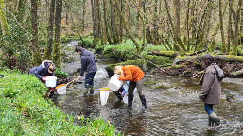 People river dipping with trees alongside the river