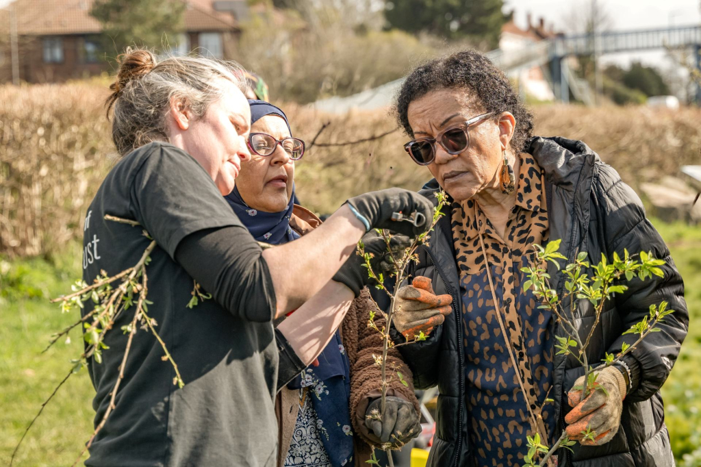Three people are looking at a tree sapling, one of them is showing how to prune it.